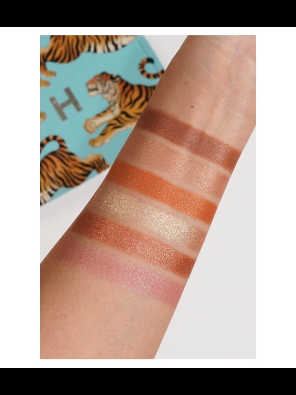 TIGER palette. Hourglass Ambient Lighting. - Picture 8 of 10